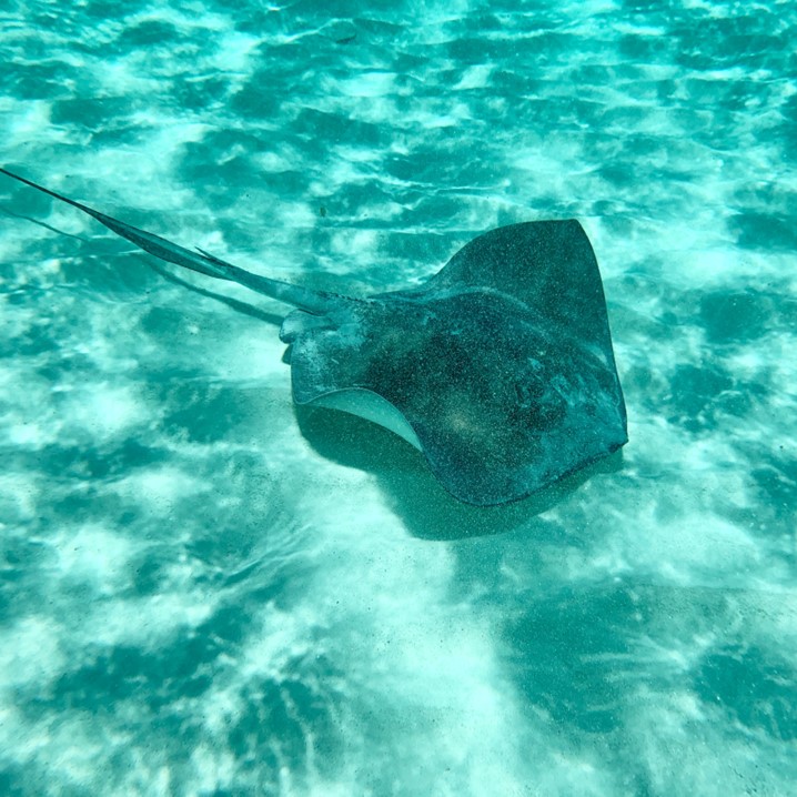 Isla Contoy